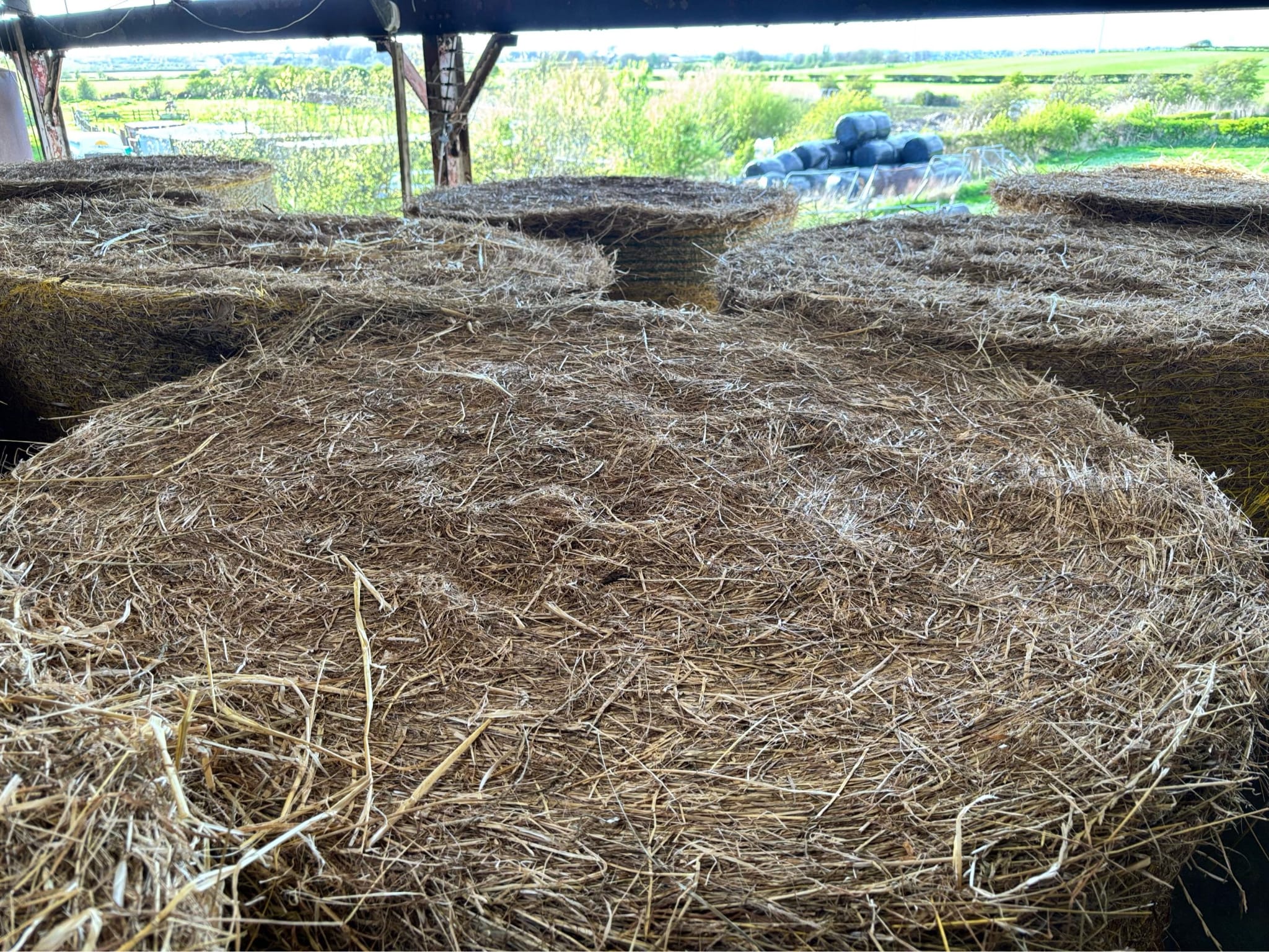 LARGE ROUND BALES OF HAY FARMERS MAKE FOR FEEDING LIVESTOCK COWS SHEEP HORSES - Image 3