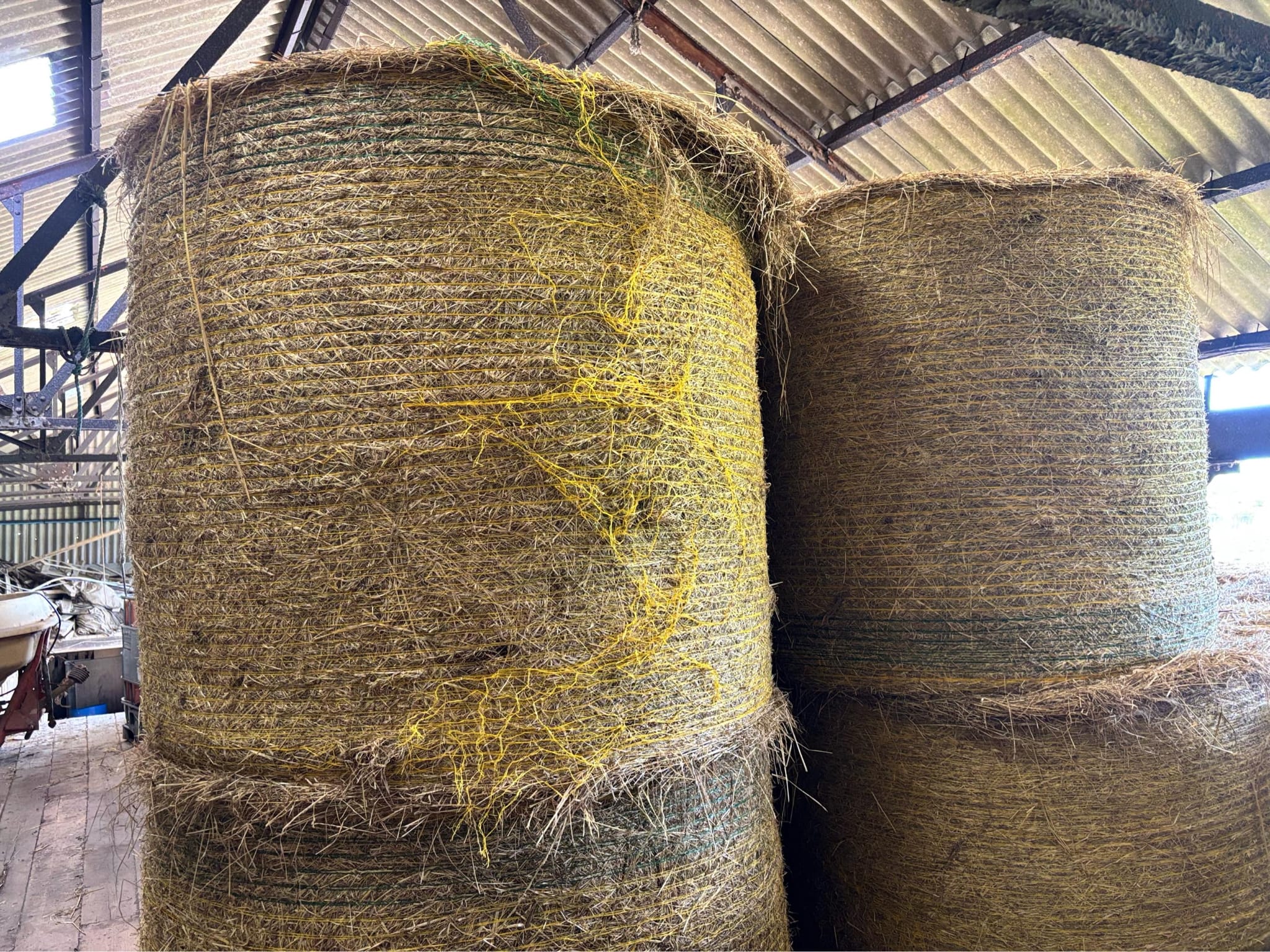 LARGE ROUND BALES OF HAY FARMERS MAKE FOR FEEDING LIVESTOCK COWS SHEEP HORSES - Image 4